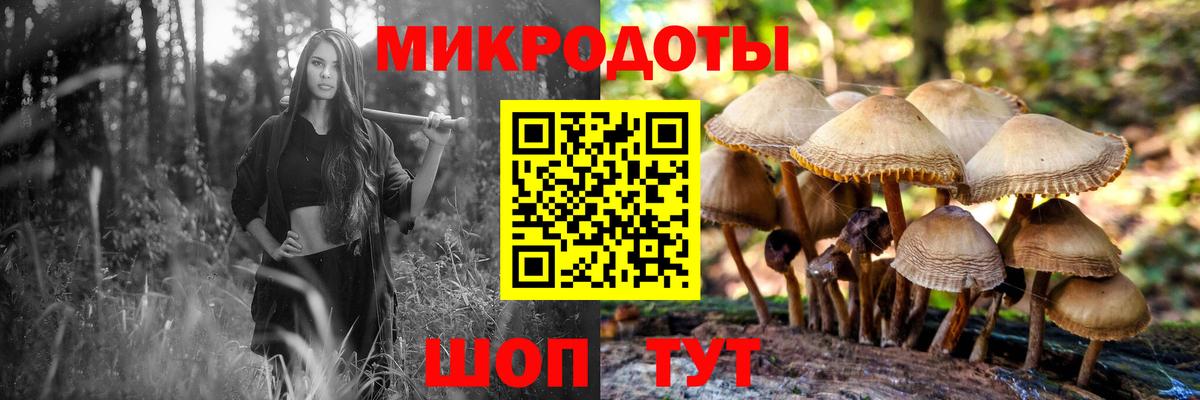 Псилоцибиновые грибы Cubensis  Галлюциногенные грибы MAGIC MUSHROOMS  Вход с VPN  Нерюнгри 