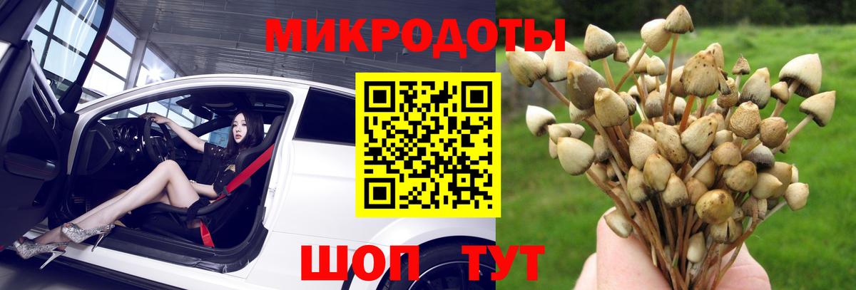 Галлюциногенные грибы ЛСД Нерюнгри